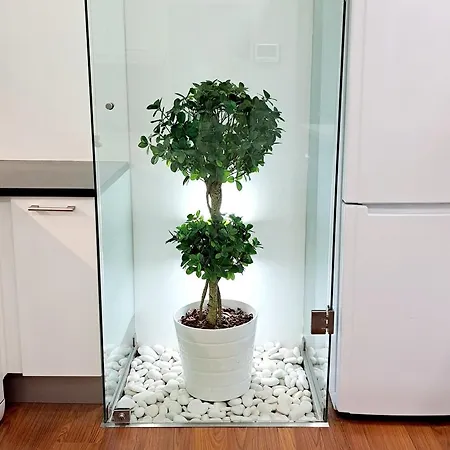 Casa Da Praca بيت ضيافة 4*