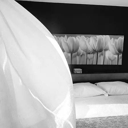 ゲストハウス Casa Da Praca ミランダ・ド・ドウロ