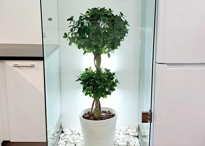 Casa Da Praca Гостевой дом 4*